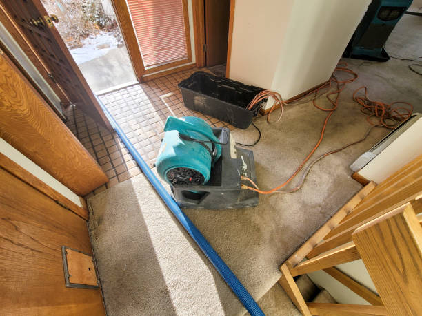 Water damage restoration experts in Columbia, KY