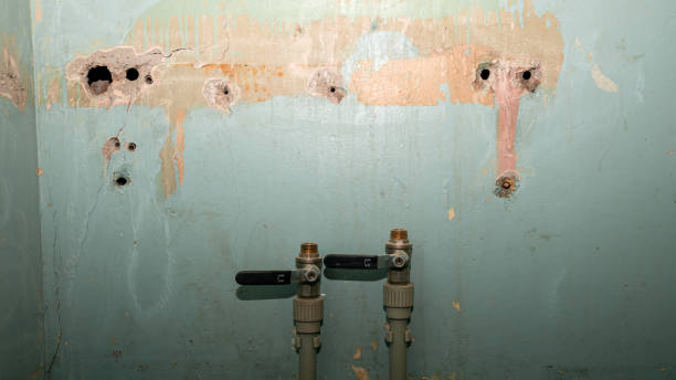 Best 24/7 water damage repair  in Columbia, KY