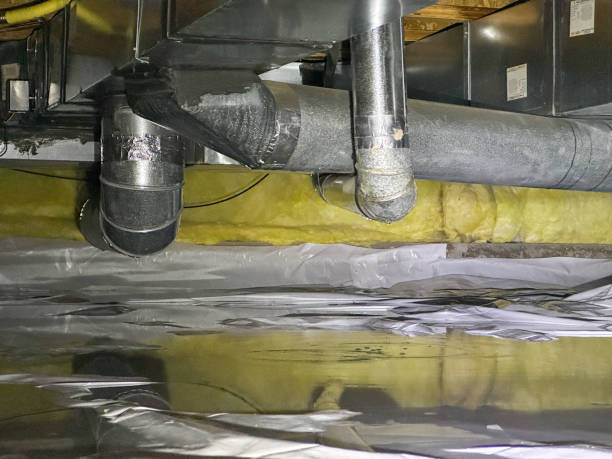 Best Sewage cleanup and water damage restoration  in Columbia, KY