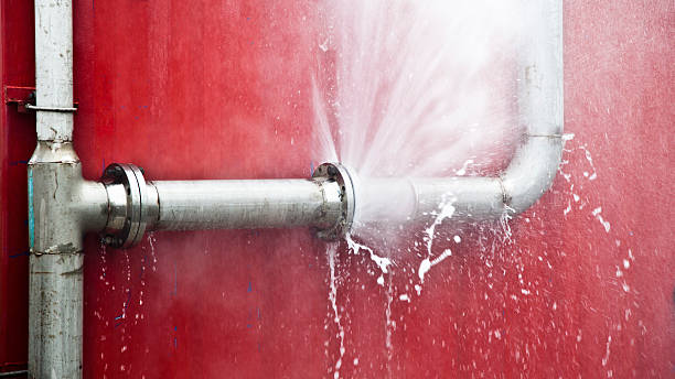 Best Local water damage restoration  in Columbia, KY